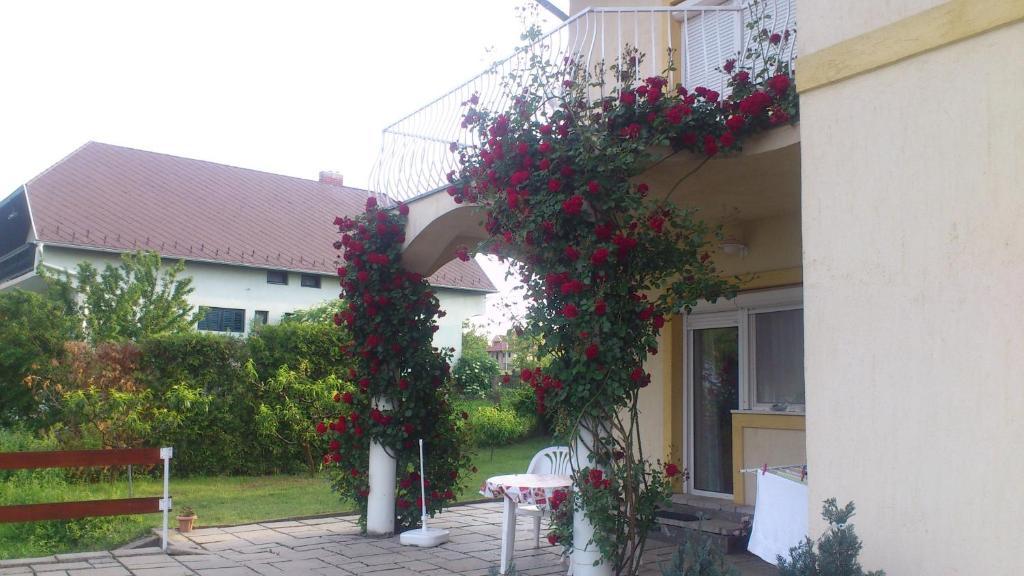 Flora Villa Hévíz Rum bild